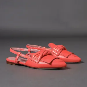 41204 Coral