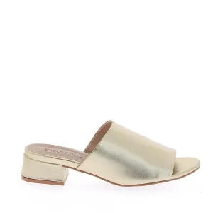 Brazilio 1070749 Gold Slide
