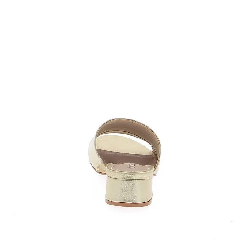 Brazilio 1070749 Gold Slide