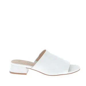 Brazilio 1070749 White