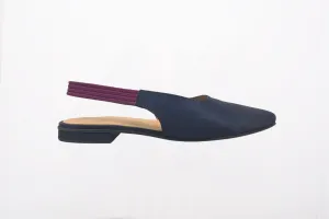 CRISTA II