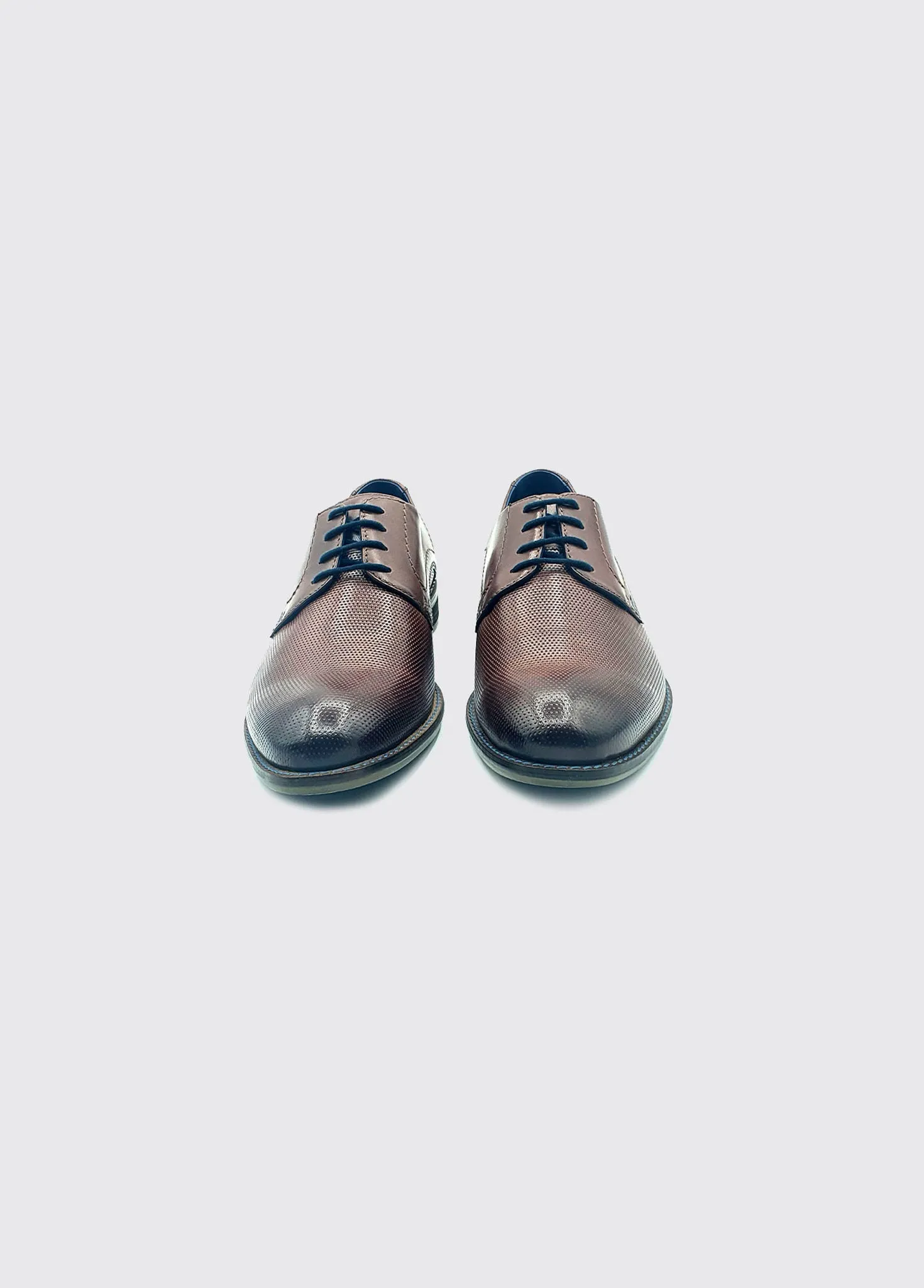 Duke - Brown