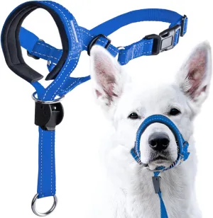 GoodBoy Dog Head Halter with Safety Strap - Stops Heavy Pulling On The Leash - Padded Headcollar for Small Medium and Large Dog Sizes - Head Collar Training Guide Included (Size 2, Blue Nylon)