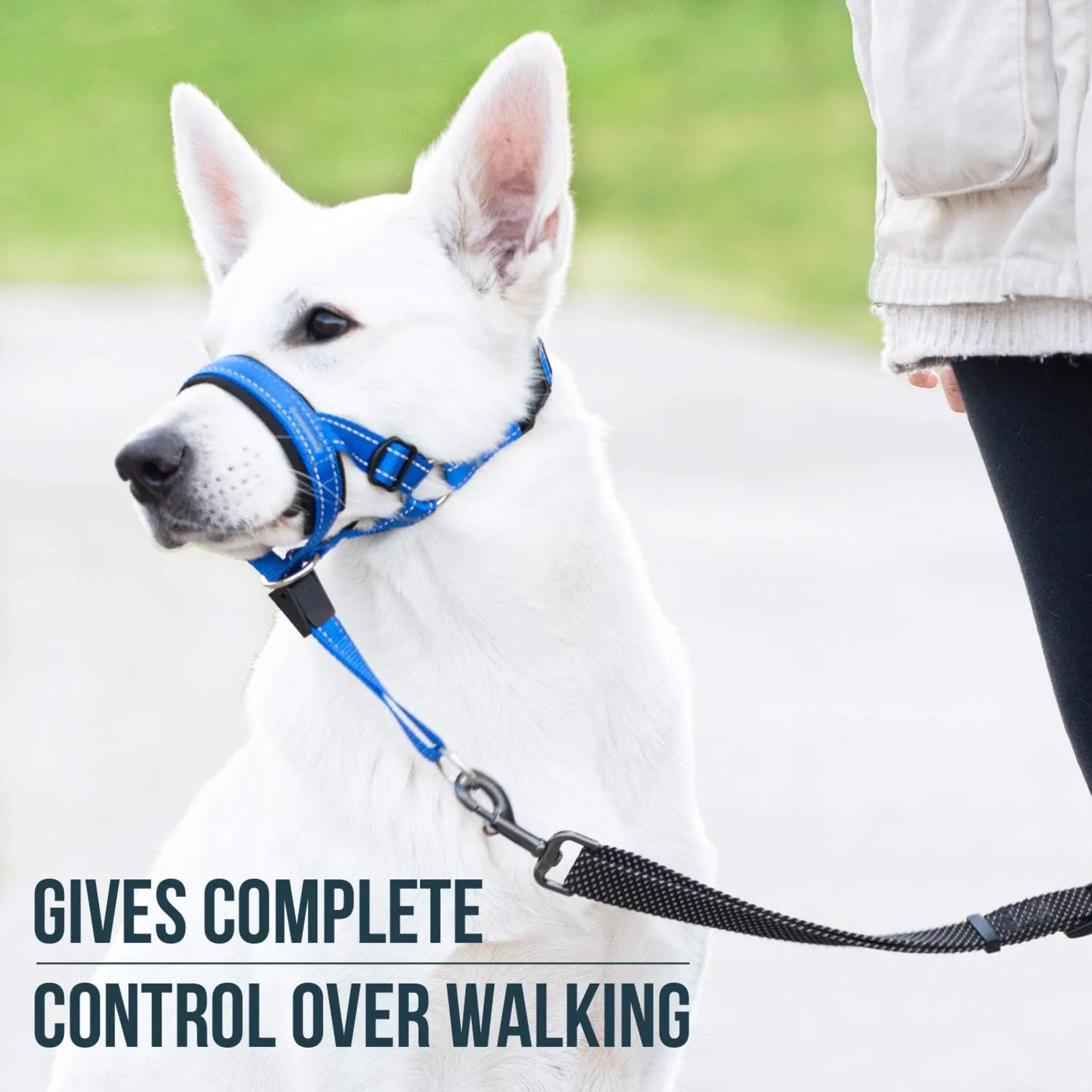 GoodBoy Dog Head Halter with Safety Strap - Stops Heavy Pulling On The Leash - Padded Headcollar for Small Medium and Large Dog Sizes - Head Collar Training Guide Included (Size 2, Blue Nylon)