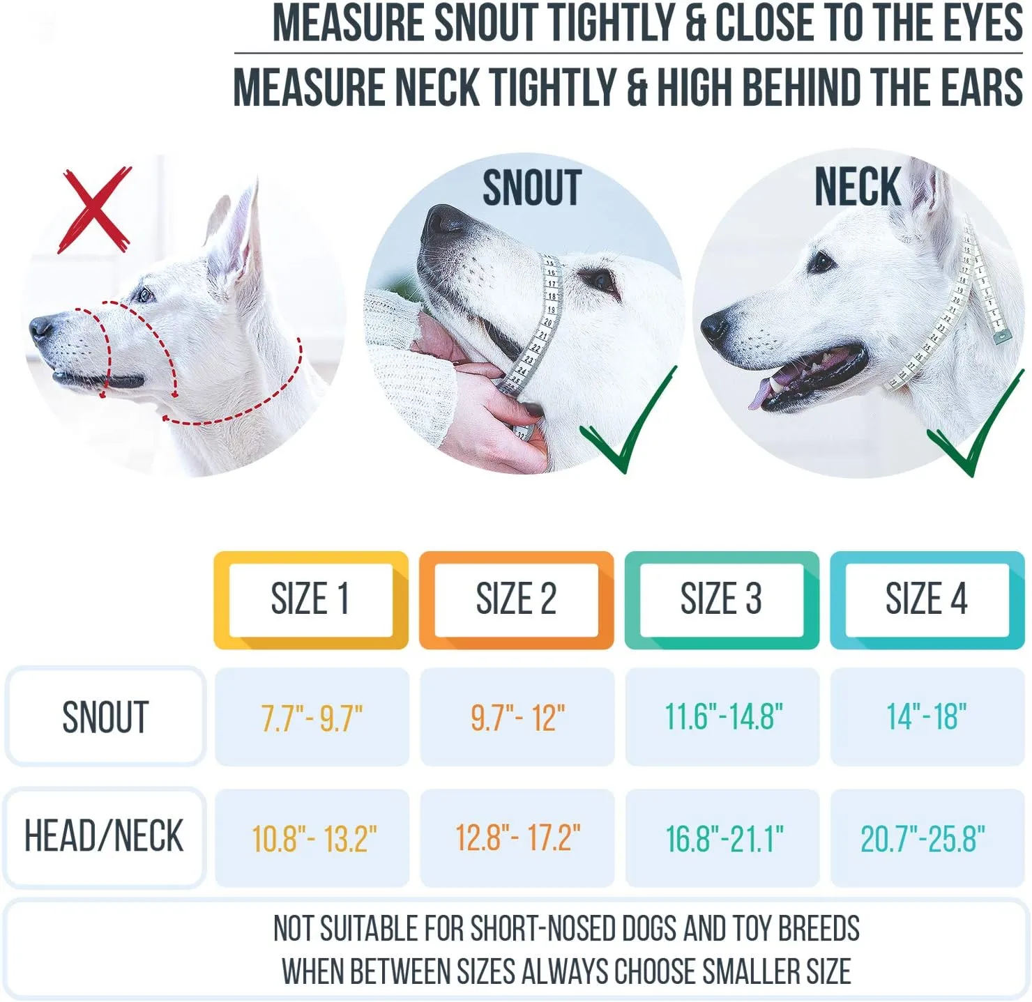 GoodBoy Dog Head Halter with Safety Strap - Stops Heavy Pulling On The Leash - Padded Headcollar for Small Medium and Large Dog Sizes - Head Collar Training Guide Included (Size 2, Blue Nylon)