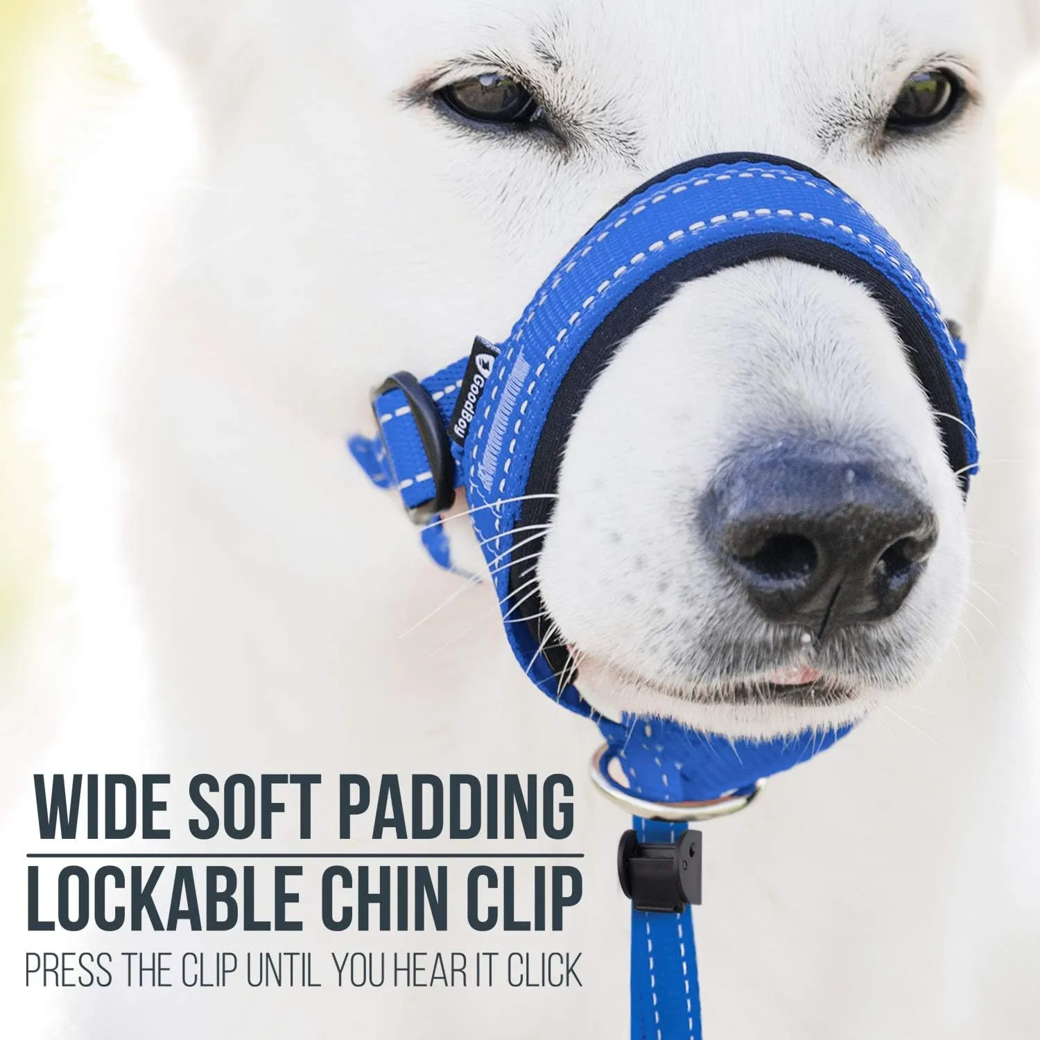 GoodBoy Dog Head Halter with Safety Strap - Stops Heavy Pulling On The Leash - Padded Headcollar for Small Medium and Large Dog Sizes - Head Collar Training Guide Included (Size 2, Blue Nylon)