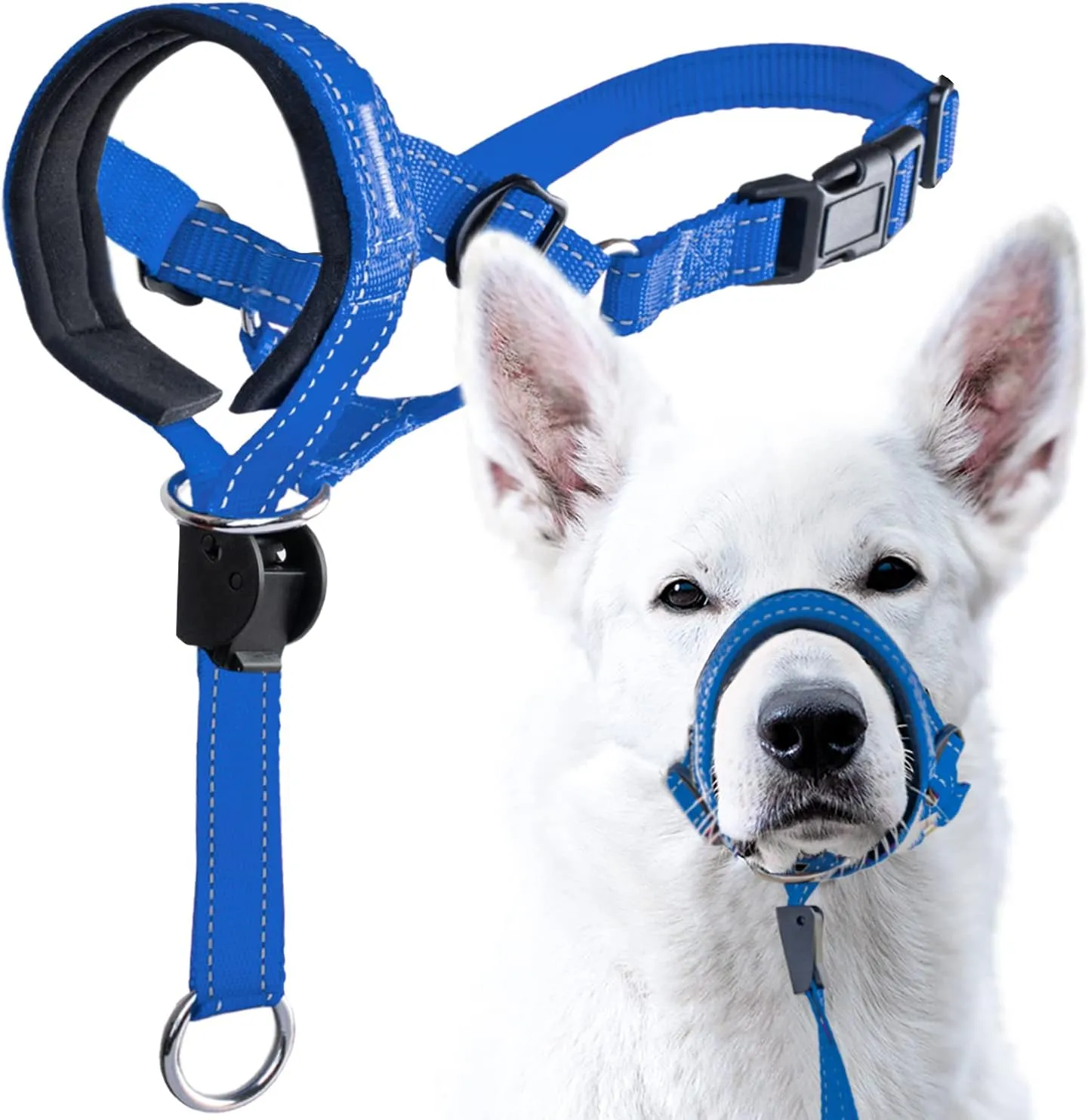 GoodBoy Dog Head Halter with Safety Strap - Stops Heavy Pulling On The Leash - Padded Headcollar for Small Medium and Large Dog Sizes - Head Collar Training Guide Included (Size 2, Blue Nylon)