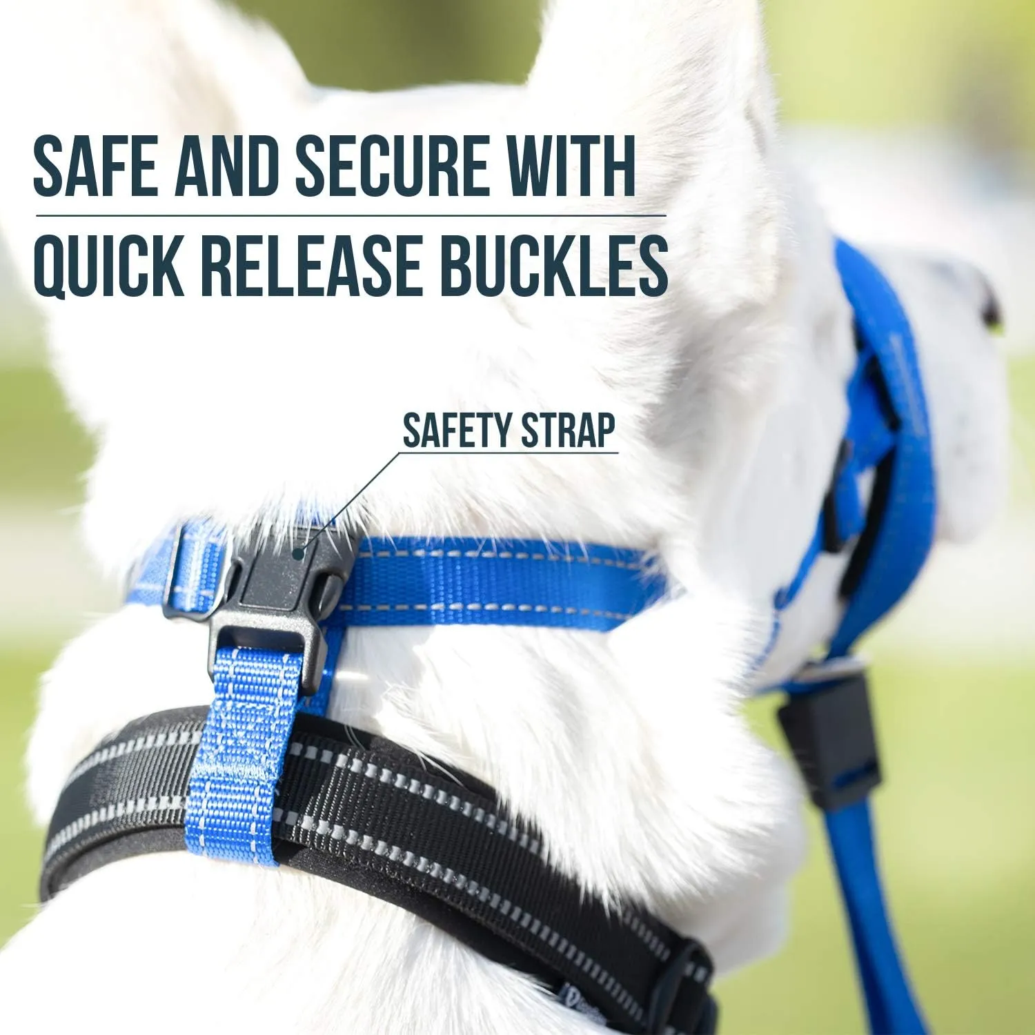 GoodBoy Dog Head Halter with Safety Strap - Stops Heavy Pulling On The Leash - Padded Headcollar for Small Medium and Large Dog Sizes - Head Collar Training Guide Included (Size 2, Blue Nylon)
