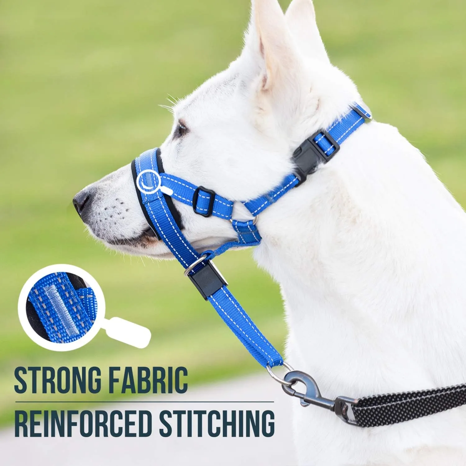 GoodBoy Dog Head Halter with Safety Strap - Stops Heavy Pulling On The Leash - Padded Headcollar for Small Medium and Large Dog Sizes - Head Collar Training Guide Included (Size 2, Blue Nylon)