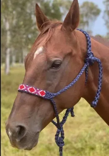 Mule Tape Halter, 10' Lead Rope, Beaded Nose Band