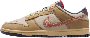 Nike Men's Dunk Low Retro Se Sneaker