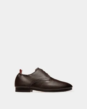 Plizard Leather Derby Shoes In Brown