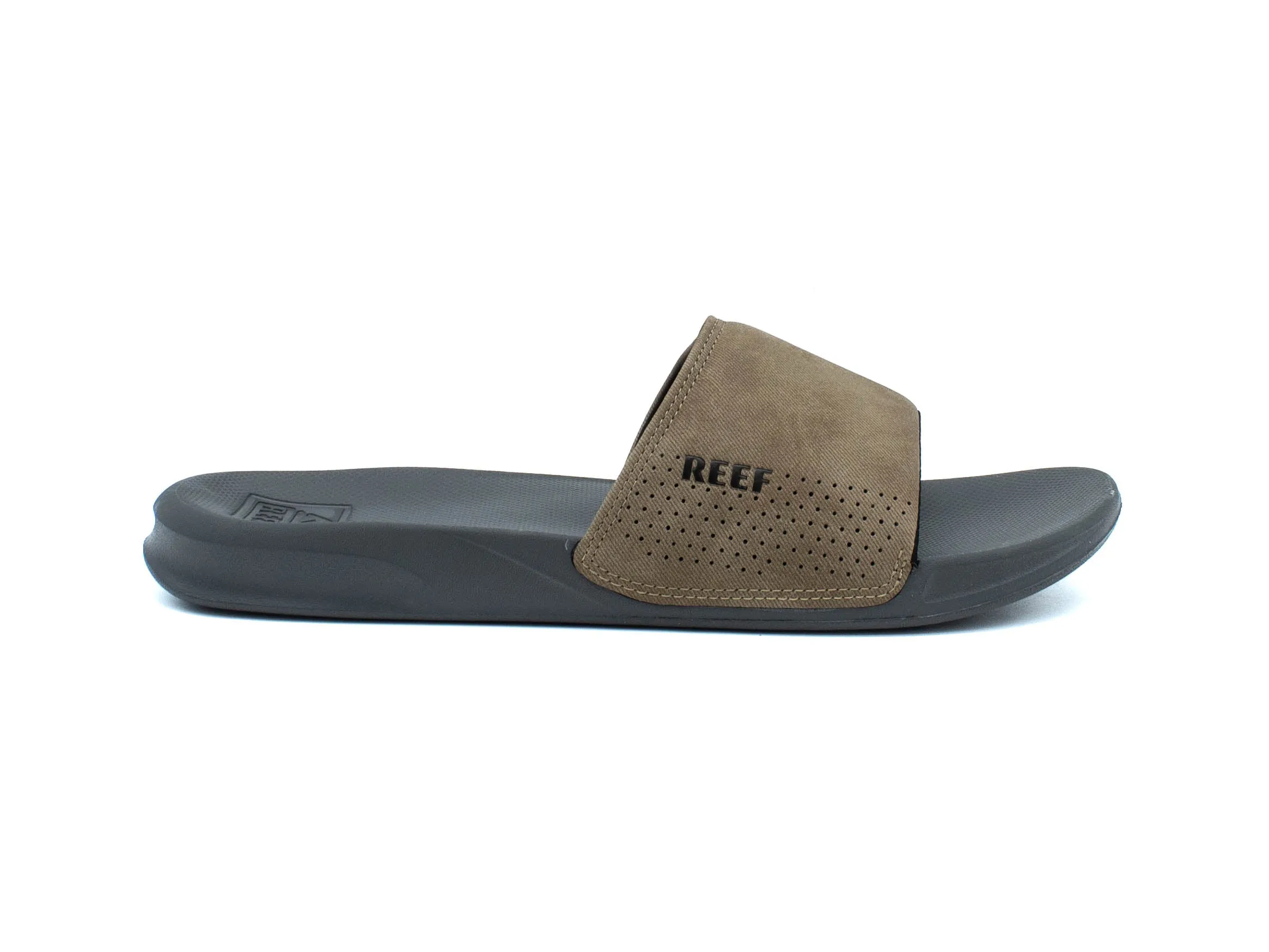 REEF One Slide